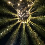 img_8060