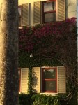 img_8294